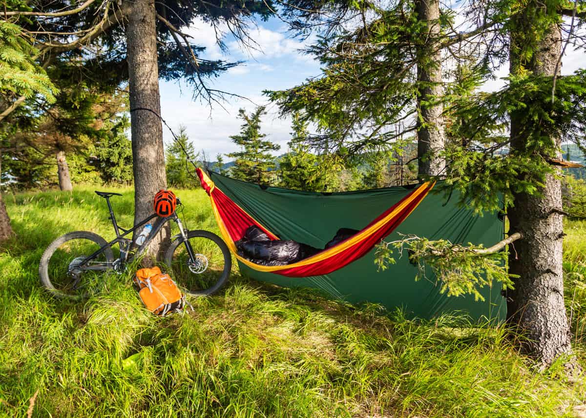 Setup hammock for camping