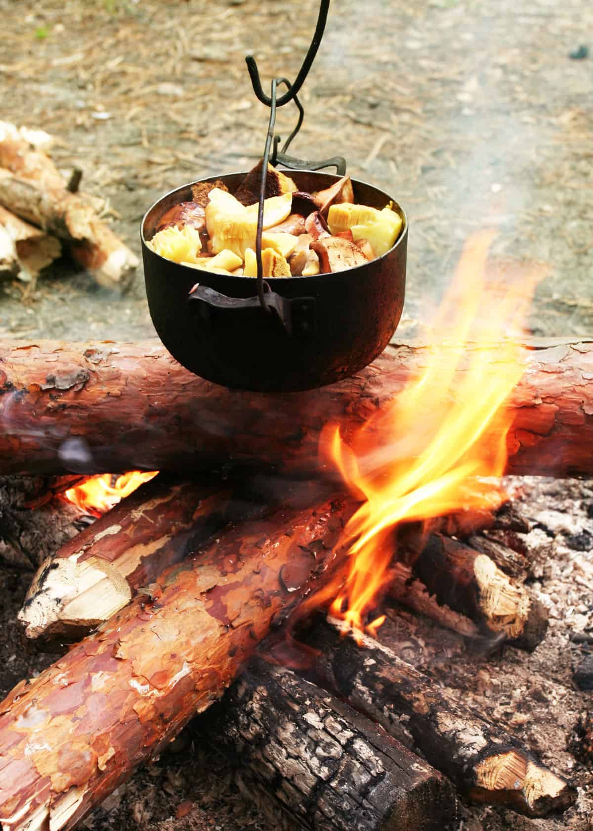 Campfire cooking methods