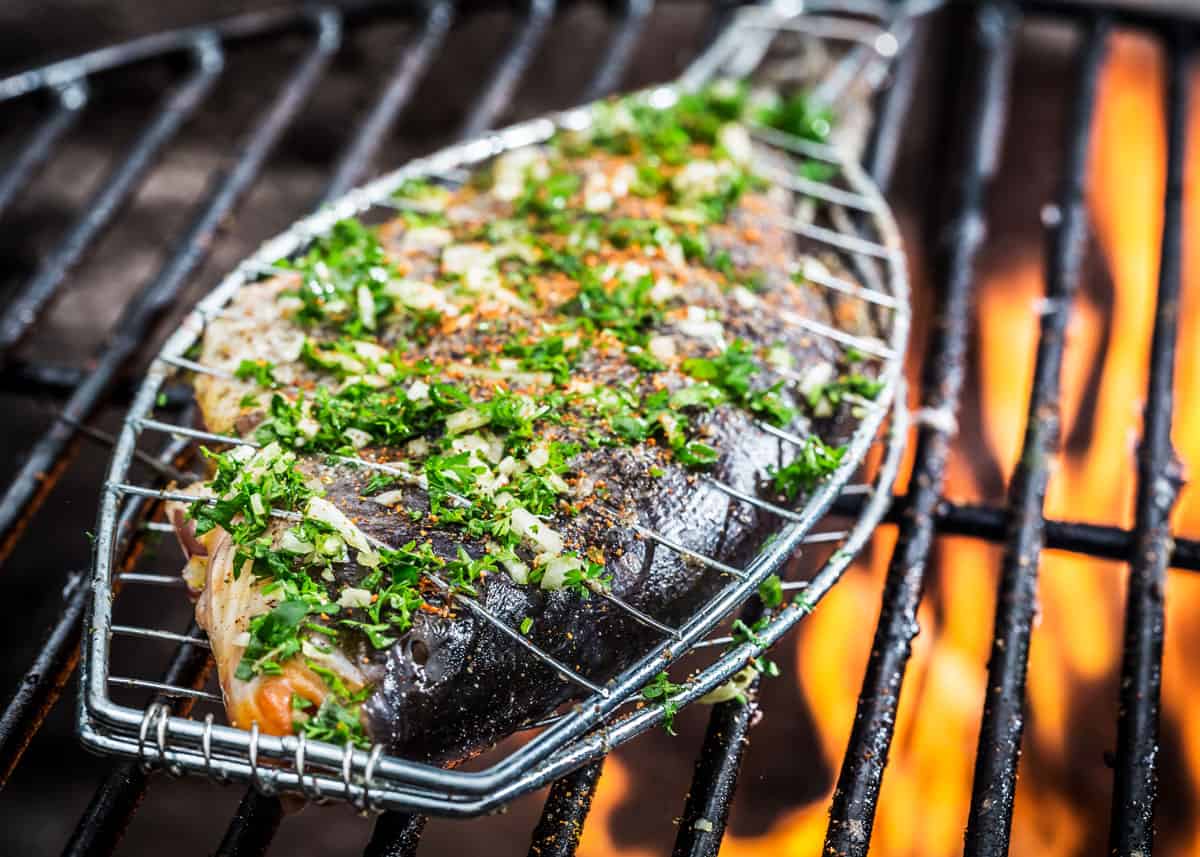 How to grill fish in basket on campfire