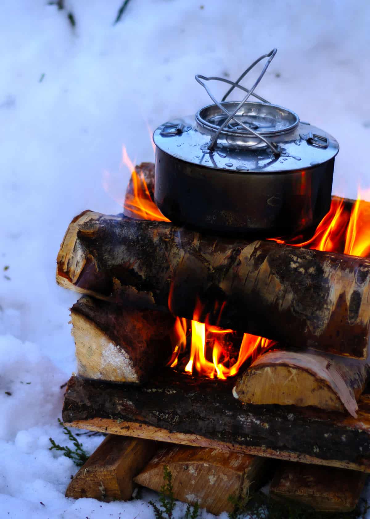 Winter campfire log cabin style