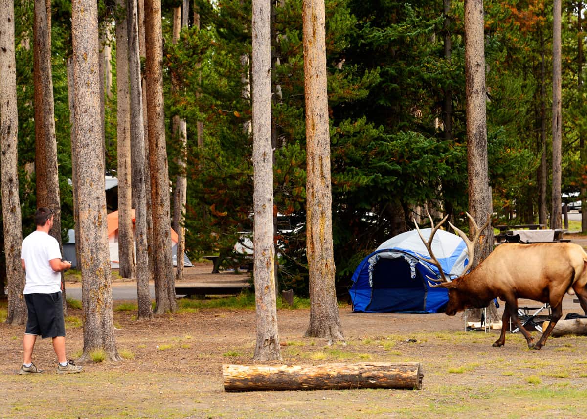 Yellowstone Campgrounds