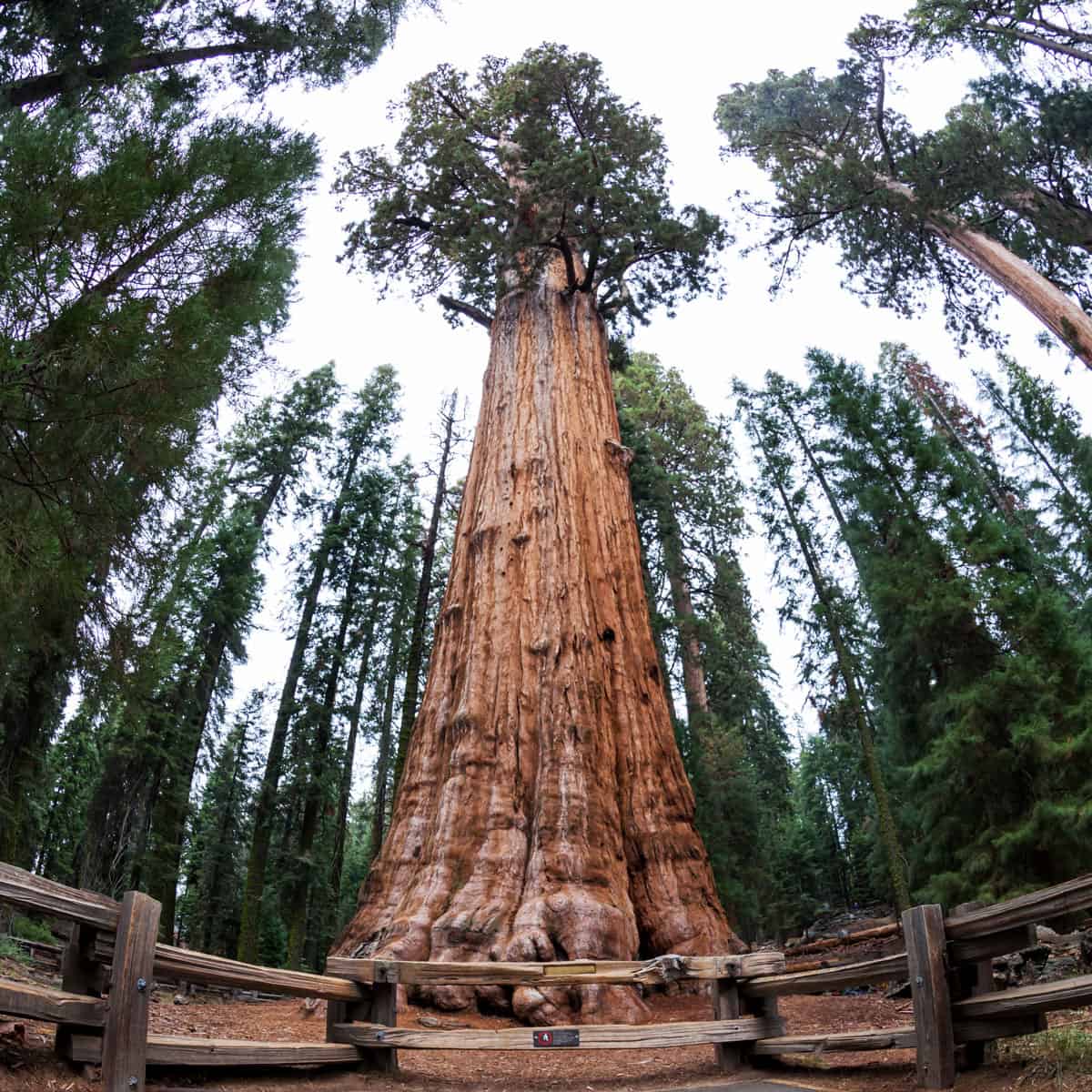 Sequoia National Park attractions
