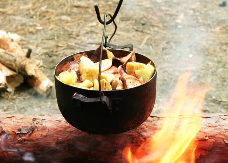 Campfire Cooking Guide: 5 Methods, Temperature Regulation, Gear