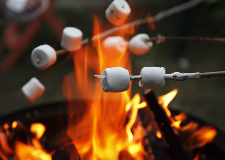 12 Essential Campfire Safety Tips: Fire Safety Rules for Kids