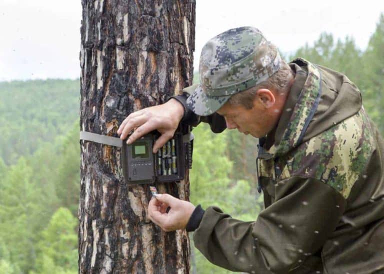 How to Program a Trail Camera: 12 Factors for Great Wildlife Photos