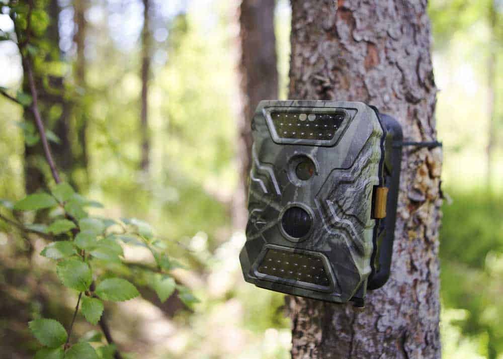 program trail camera