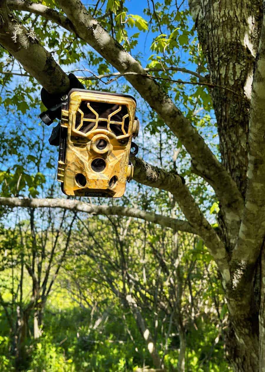how to track a stolen trail camera?