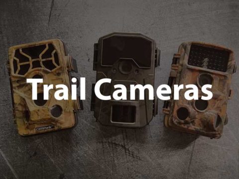 How to Use a Trail Camera: Choose, Use, Troubleshoot (11 Guides)