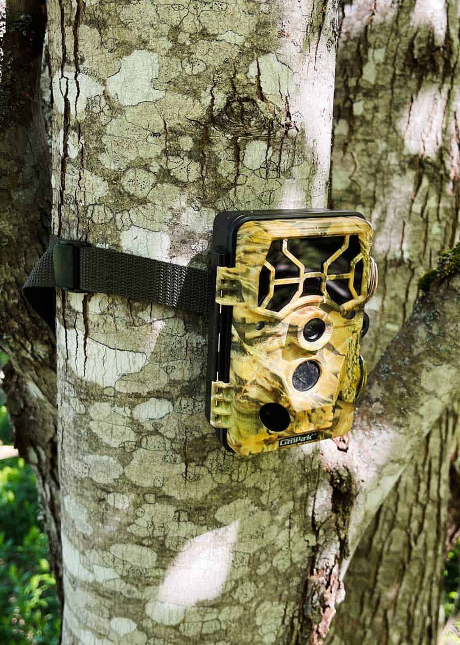 trail camera troubleshooting
