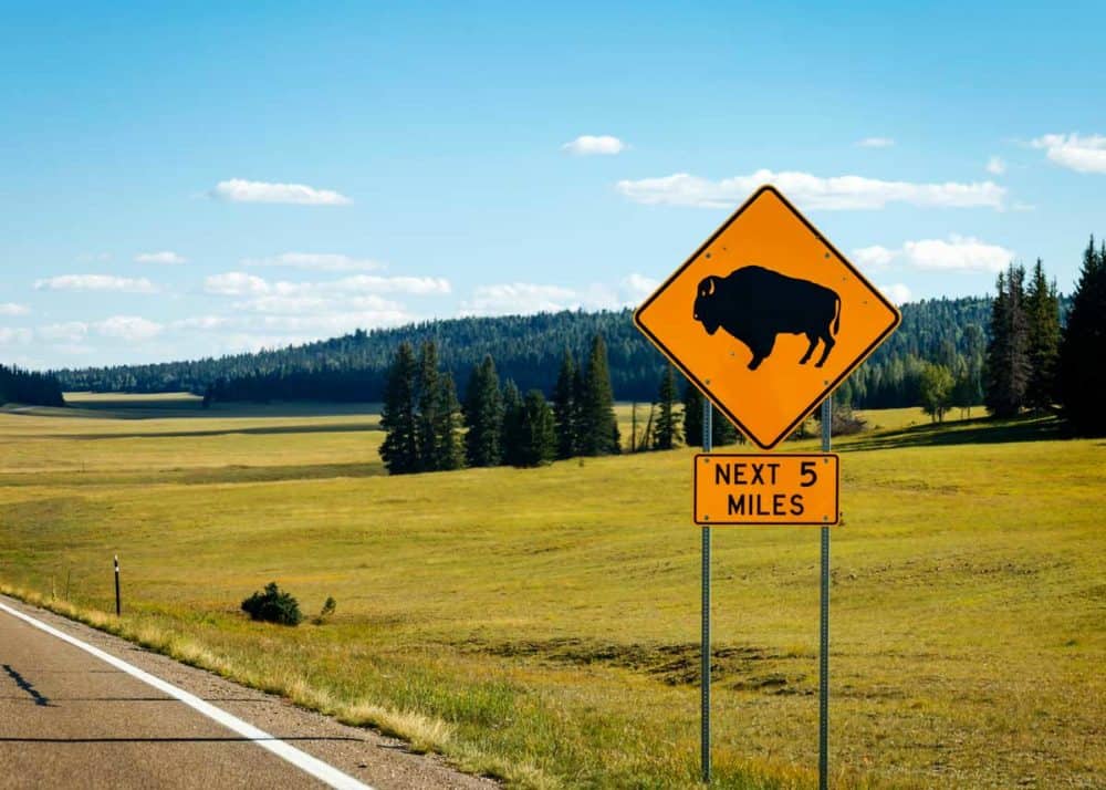 bison crossing sign grand canyon