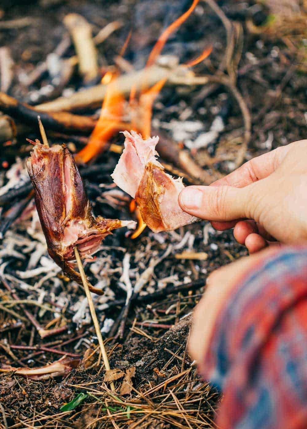 bushcraft skill campfire cooking