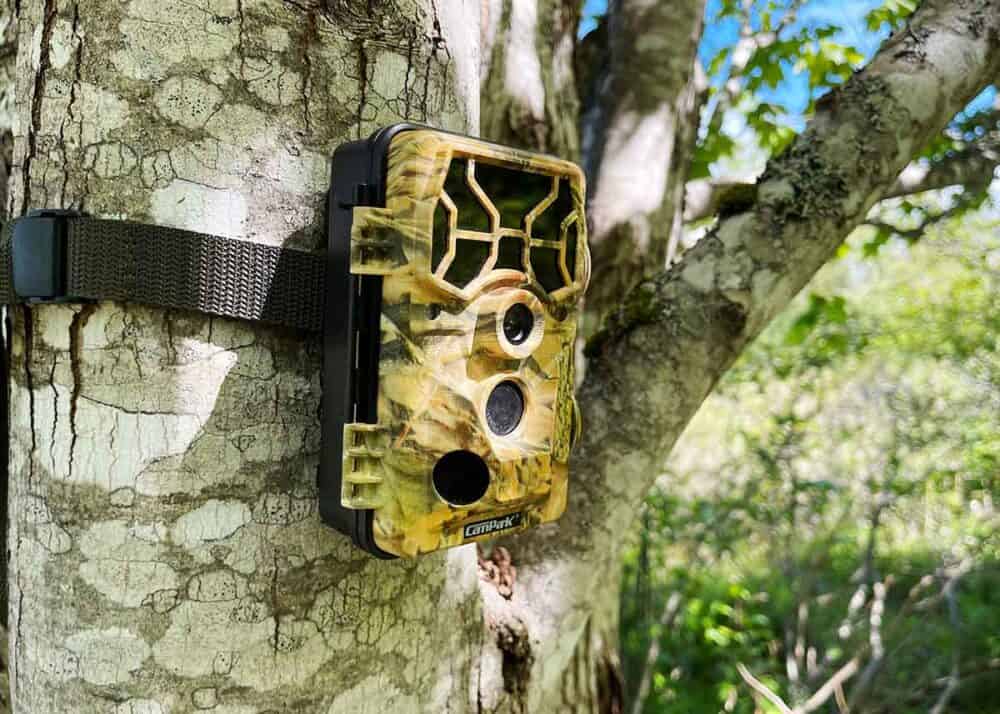 Are Cellular Trail Cameras Worth It